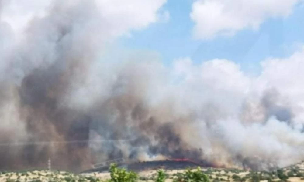 Πυρκαγία στην Κύπρο: Εκκενώνεται το χωριό Προαστειό στην επαρχία Λεμεσού